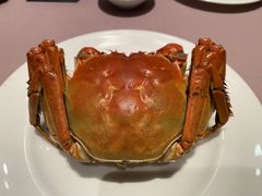 -荣府宴(南阳路店)