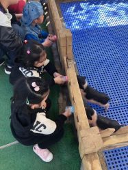 -萌宠亲子动物乐园(槐房万达店)