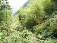 -四明山国家森林公园