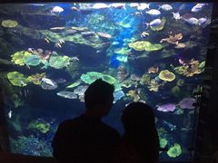 -暹罗海洋世界