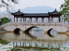 -飞来湖湿地公园
