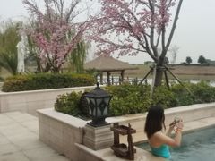 -苏州湾王焰温泉度假酒店
