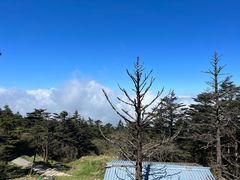 -峨眉山风景名胜区
