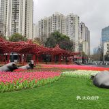 终于可以不用云赏花，到公园走走逛逛啦