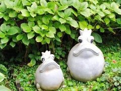 -王森咖啡西点烘焙培训(上海名厨中心店)
