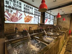 -万龙洲海鲜·粤菜(亚运村店)