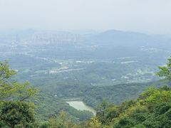 -黄埔油麻山森林公园