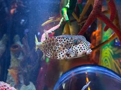 -沈阳海洋探索中心