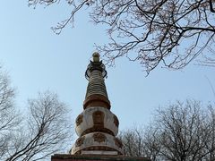 -颐和园