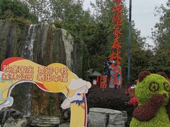 -合肥滨湖国家森林公园