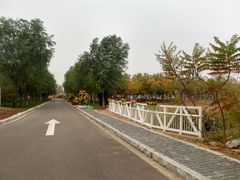 -官港森林公园