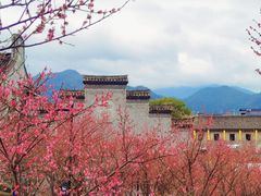 -紫阳古街