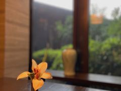 -九里云松·天香餐厅