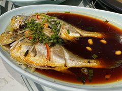 -蓝珊瑚蒸汽海鲜餐厅(龙奥店)