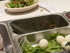 -油梨树 AVOCADO TREE(亮马桥店)