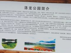 -洛龙公园