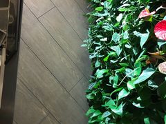 景观位-Peet's 皮爷咖啡(东湖路手作店)