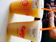 Coco都可茶饮(春熙新街店)-CoCo都可(新街店)