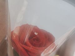 -石鼎香·非遗淮扬火锅(江都龙川桥店)
