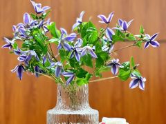 -Gigi Florist·Dk Coffee