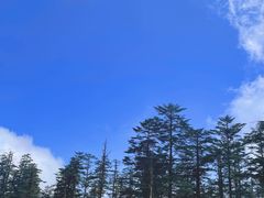 -瓦屋山景区