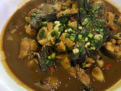 -全乐鱼馆·淳牌有机鱼直营店