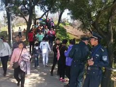 -金鸡山公园