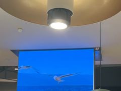 -芸山季·云南山珍菌火锅(南翔印象城MEGA店)