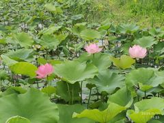 -东钱湖旅游度假区