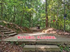 -九曜山
