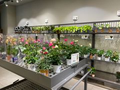 -鹿岛会员店 (龙湖三千集天街店)