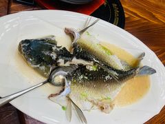 -御生皇·新天然居·顺德鱼生·顺德菜·广式早茶