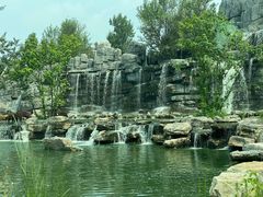 -北京野生动物园