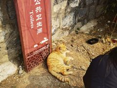 -潭柘寺景区