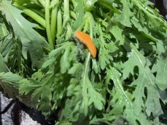 -湊湊火锅·茶憩(皇姑万象汇店)