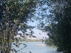 -海珠湖公园
