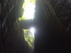 -梦幻奥陶纪景区