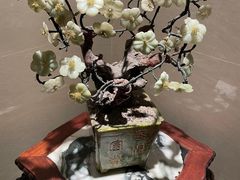 -顺峰(农展馆店)