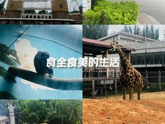 -石家庄市动物园