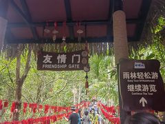 -呀诺达热带雨林