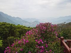 -广州市石门国家森林公园