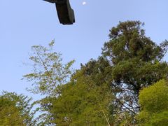 -天目山-昭明禅寺