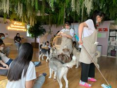 -Husky Go! 哈士奇体验馆·宠物咖啡厅狗咖