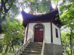 -上海佘山国家森林公园天马山园