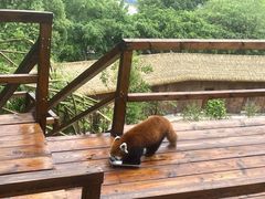 -乐和乐都主题乐园