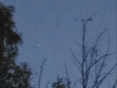 -森林公园(尖草坪区)