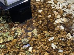 -盒马鲜生(岭南新世界店)