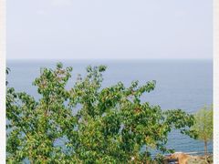 -湖景渔湾