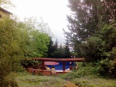 -天鹅湖生态旅游风景区