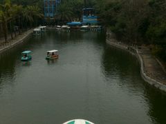 -广东茂名森林公园